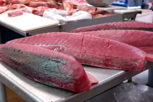 Premium Yellowfin Tuna Loin 600/ kg