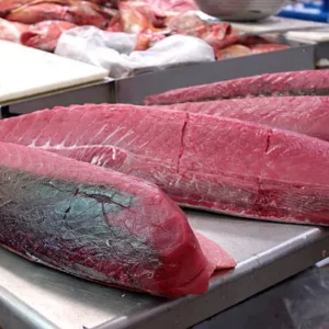 Premium Yellowfin Tuna Loin 600/ kg