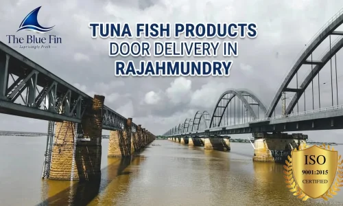 rajahmundry-thebluefin-tuna.jpg